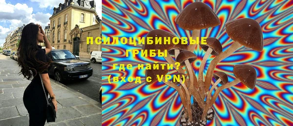 PSILOCYBIN Козельск