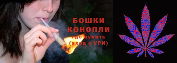 PSILOCYBIN Козельск