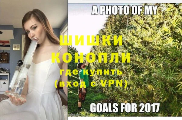МДПВ Козловка