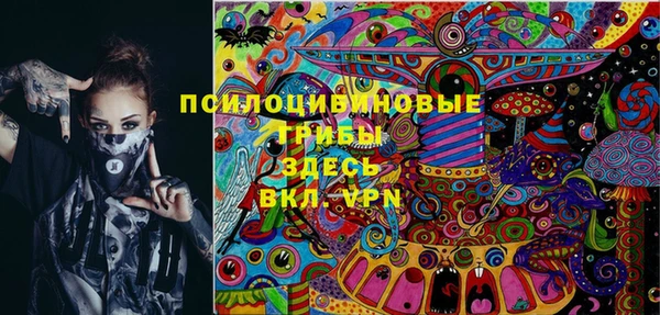 PSILOCYBIN Козельск