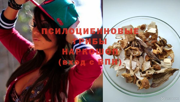 PSILOCYBIN Козельск