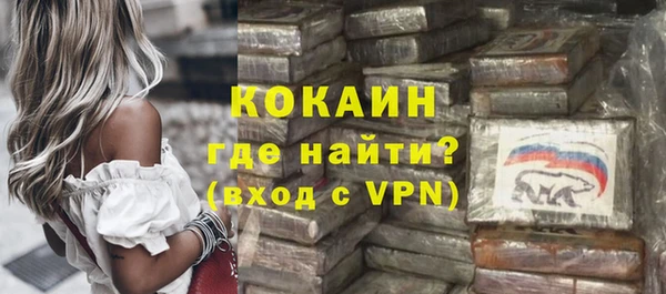 мдпв Кодинск