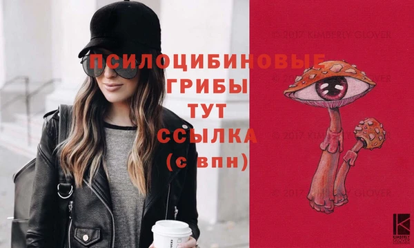 мдпв Кодинск